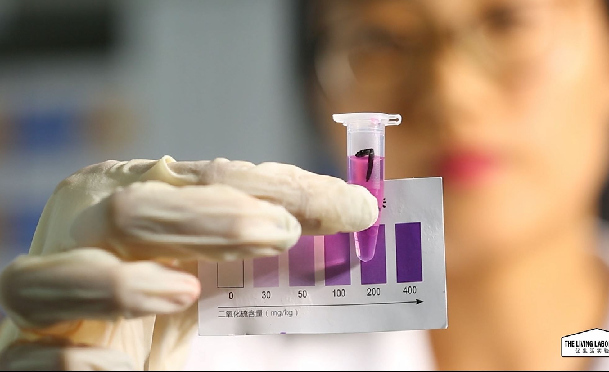 美容养颜祛斑的玫瑰花茶,美容养颜玫瑰花茶