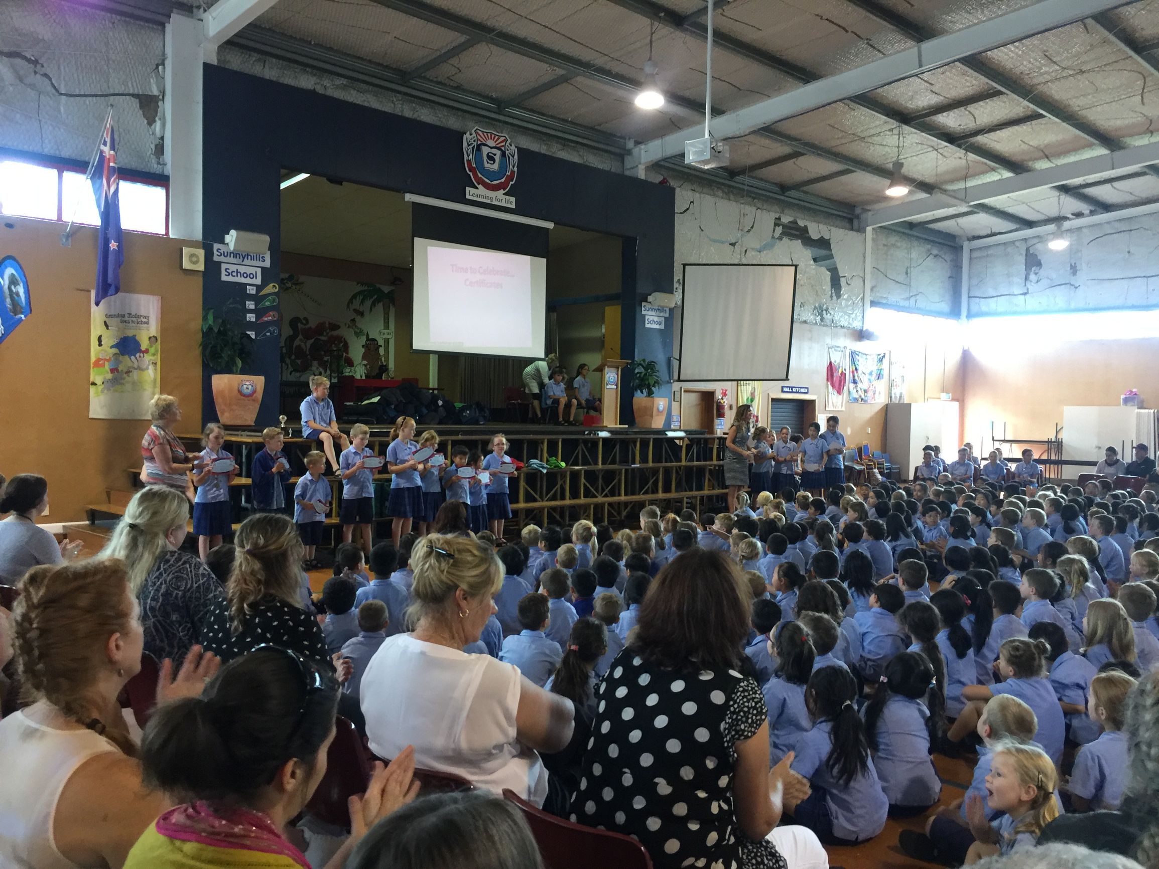 西方教育最重要的价值之阅读习惯的养成——我带儿子新西兰读小学