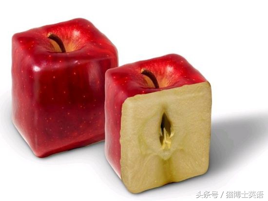 和食物有关的英语口语,地道英语口语表达健康食物