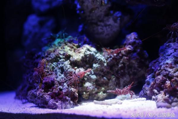 冲绳旅拍攻略,冲绳旅行攻略图