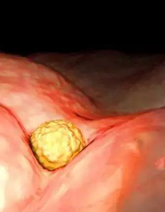 生命的由来胚胎发育全过程动画,生命发育的过程