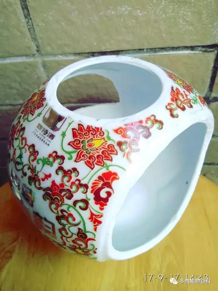 透明酒瓶种多肉怎么才好看,空酒瓶利用种多肉