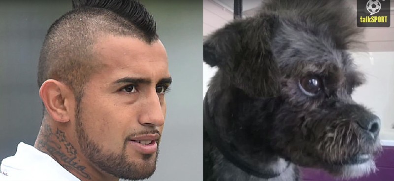 太像了！太像了！你喜欢的足球运动员像什么动物？