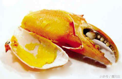 黄油蟹中极品黄膏香气诱人,黄油蟹有多肥美鲜香