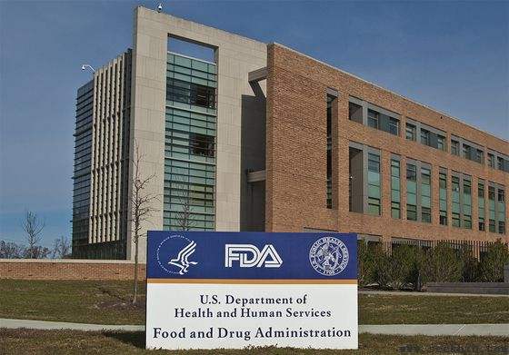 小白怎么选白蛋粉,全蛋粉应该怎么选