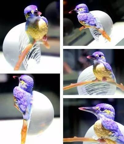 全国首届非遗展,全国非遗展