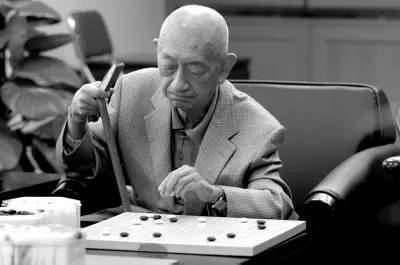 阿尔法狗对围棋毁灭性打击,阿尔法狗与职业棋手的经典对决