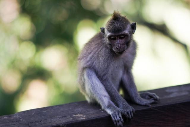 微单a6300评测,索尼微单a6300拍夜景怎么样