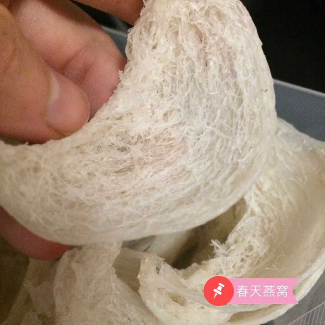 燕窝知识及鉴别哪种燕窝最好,燕窝最简单的辨别方法