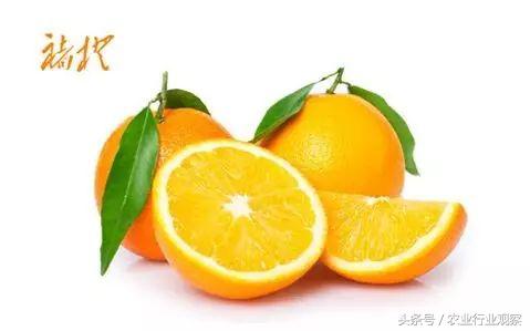 投资农业最好的机会是已经到了吗,农业是下一个投资风口吗