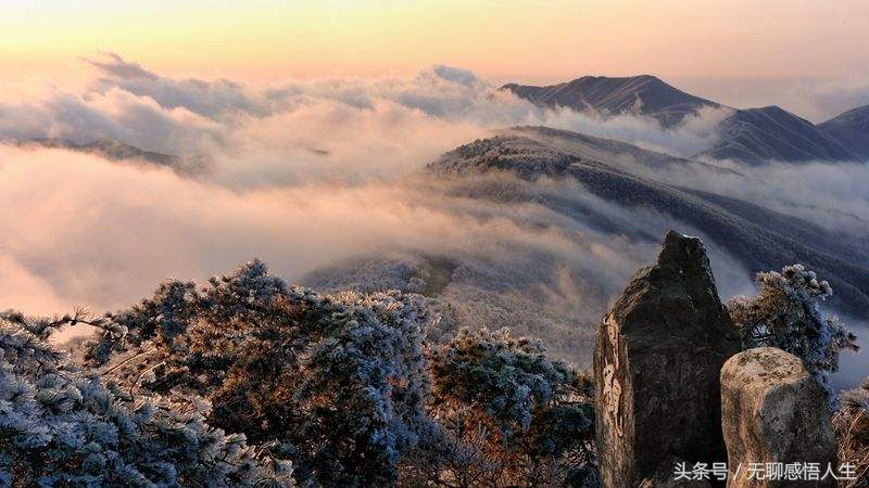 杭州市临安区有什么县,临安区是全国百强区吗