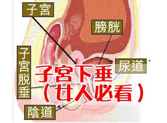 越瘦越容易得肺病,越瘦越容易得心脏病