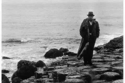 teamlab东京光影展,teamlab艺术展馆