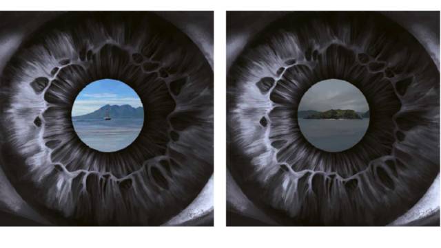 teamlab东京光影展,teamlab艺术展馆