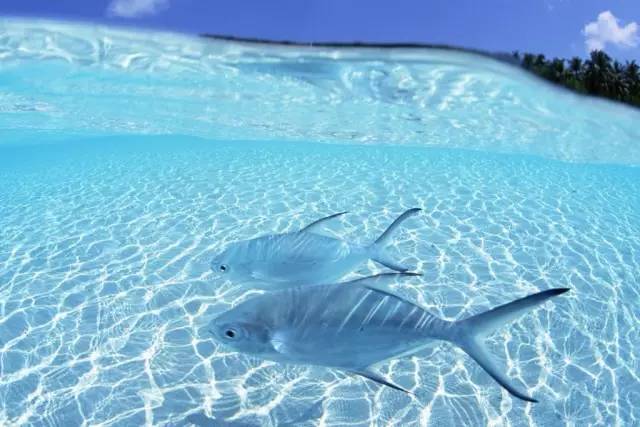 巴拉望岛好玩吗,巴拉望岛最大的岛屿