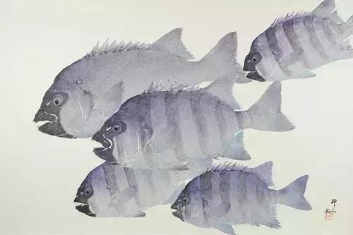 唯美鱼手绘画,唯美鱼手绘高级