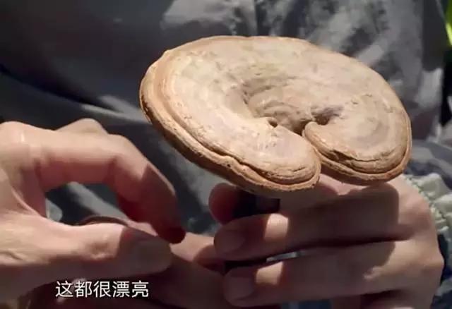 8.9,我们的片终于抢在韩国人前面