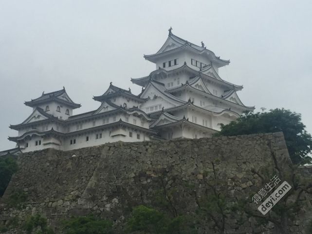 碉堡｜日本关西深度游最详细攻略！体验全日本最美的小渔村，吃嗨