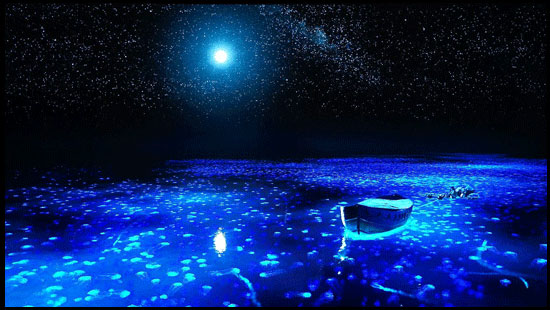 索尼a1对比a92,索尼a25和a17对比