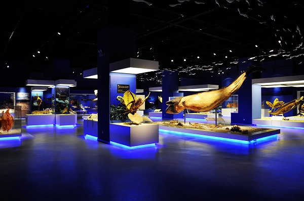 国庆十一大连周边游,十一假期大连旅游推荐