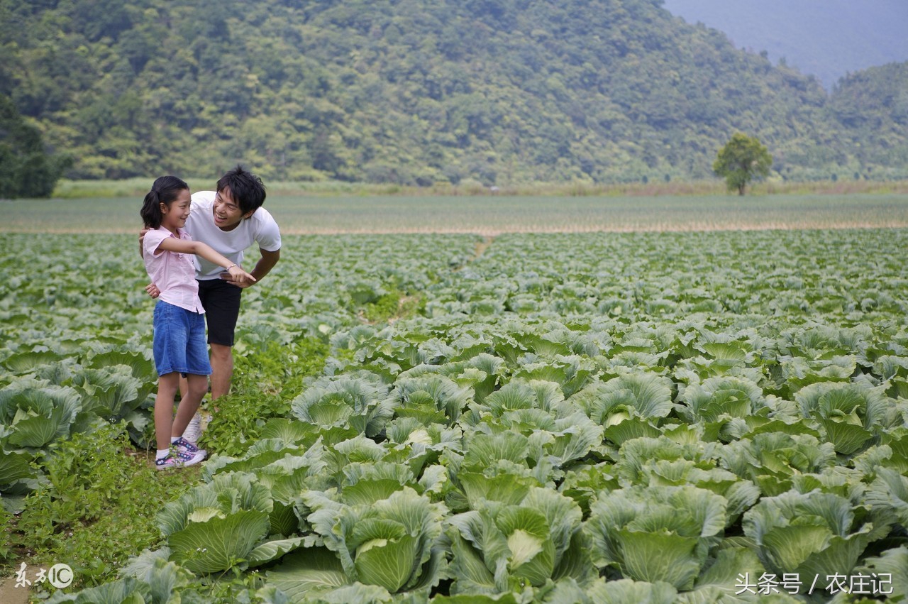 苏北农村什么地方值得游玩,江苏特色农村