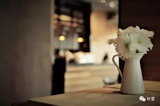 猫屎咖啡的由来和传说,传说中的猫咪咖啡