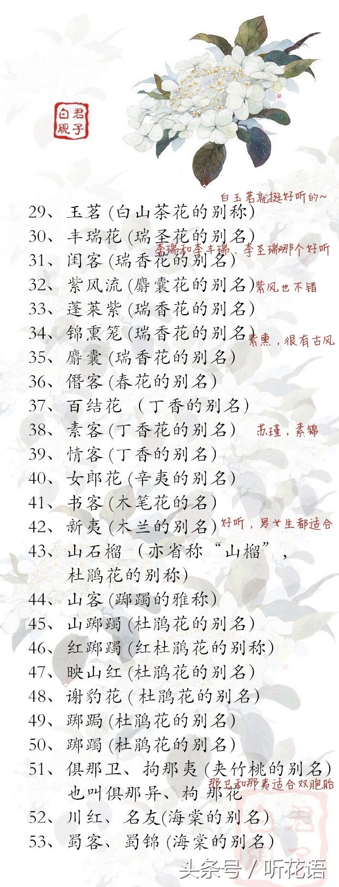 花的别称一个字,给孩子取一个寓意很健康的名字
