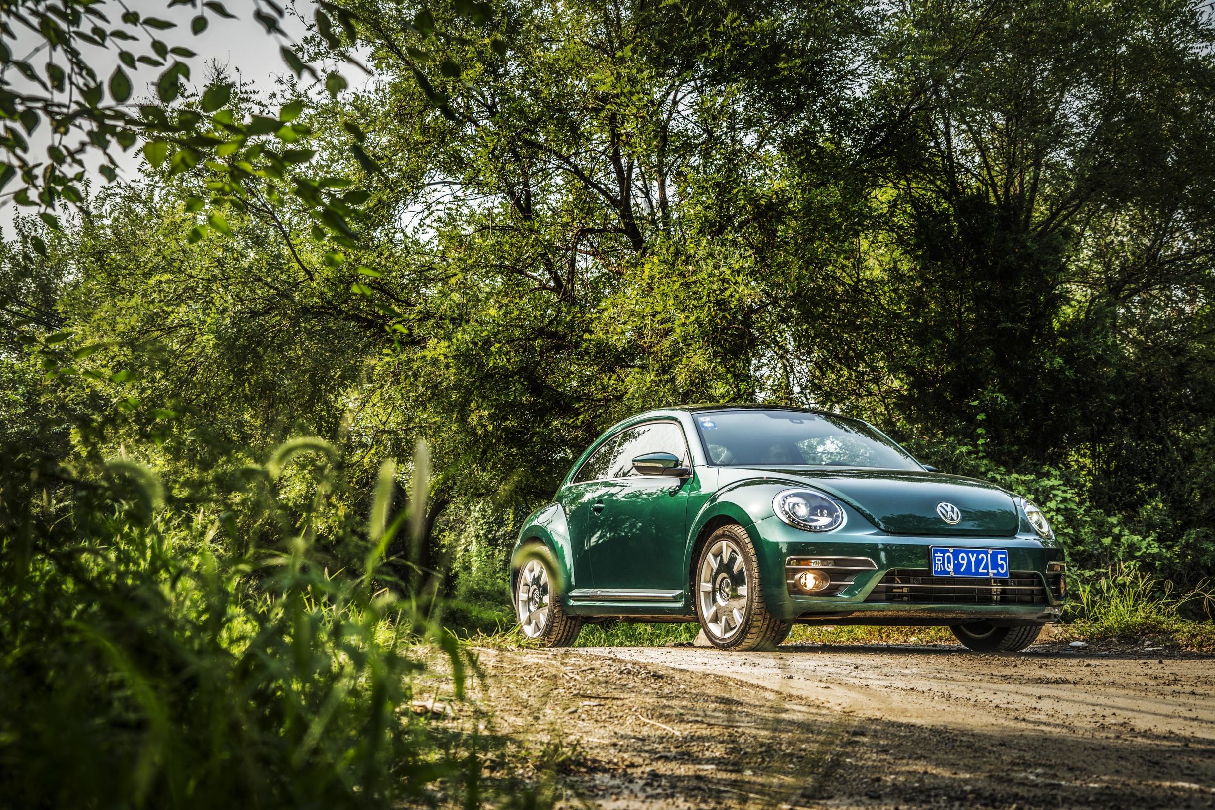 秋日里的竹璃绿｜大众甲壳虫