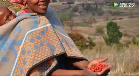 澳洲十大有机护肤品,澳洲有机认证护肤品牌