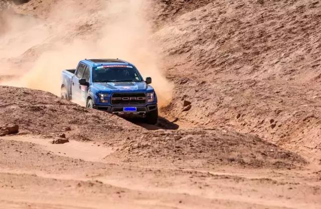 硬汉集结营救动物,硬汉军团