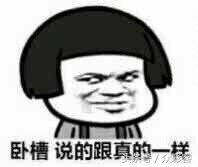 双色球2017038期分析,双色球可以胆拖投注吗