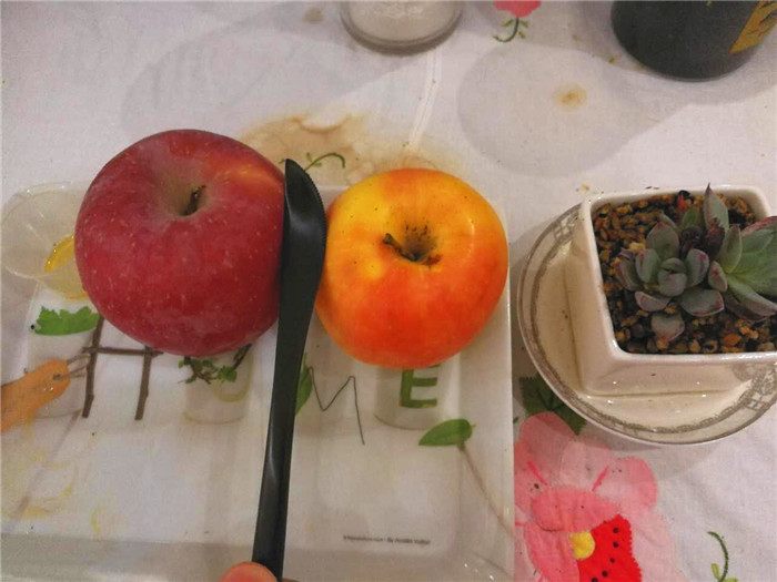 用心去感受生活的美好,MaisonMaxx纯色不锈钢餐具试用