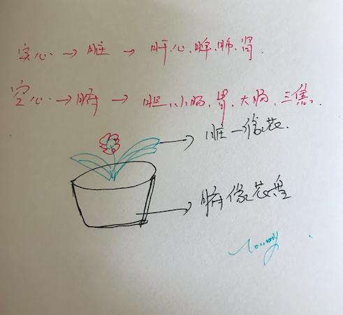 调理一切病证中医为何从脾胃入手,中医讲一切疾病从调脾胃开始