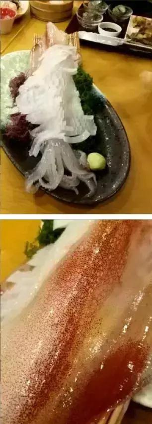 福冈最好的居住街区,福冈的城市介绍