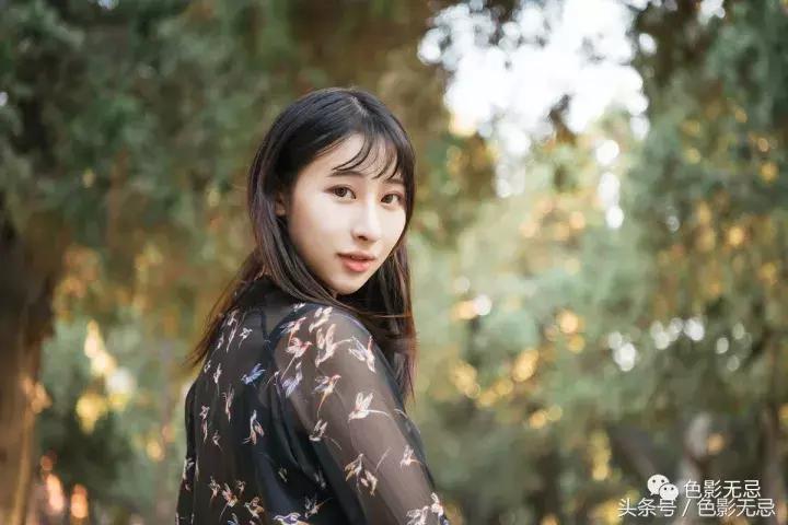 尼康d850详细测评,尼康d850最新评测