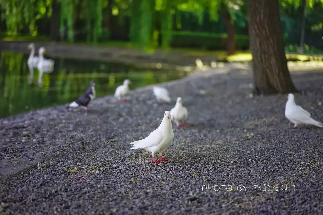 北京汤泉度假酒店排名,京城度假酒店