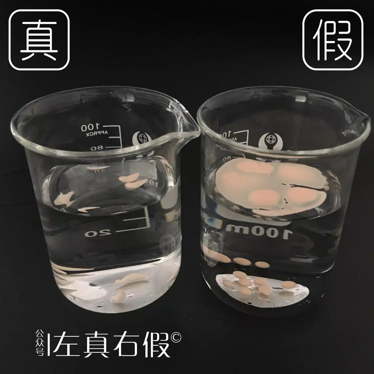 全网最好用的隔离,新手买什么隔离最好