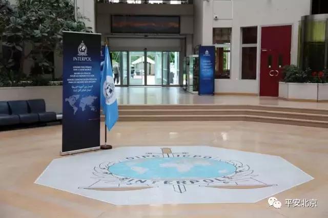 国际刑警组织是一个怎样的存在,国际刑警警察组织是什么组织