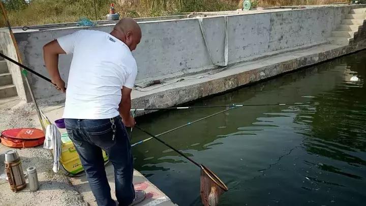 一群老大爷钓鱼,一群大爷岸上钓鱼