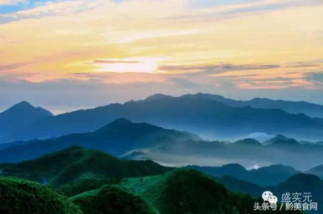每天吃鲜人参,秋季食用鲜人参