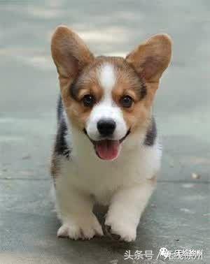 这几天，1亿网友围观徐州！爱上这里，需要多长时间？