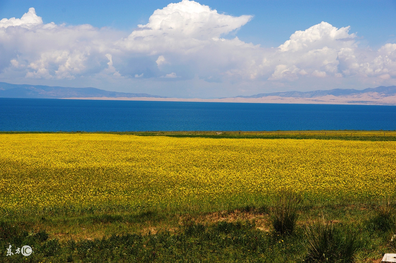 小而美潜力股,小而美的创新药股票