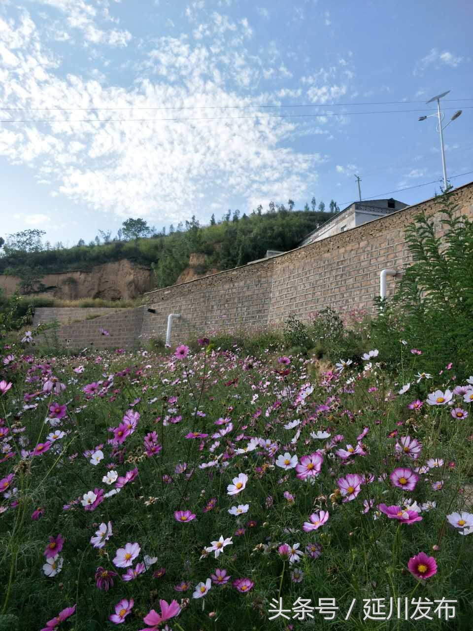 刘家山民宿优惠团购,刘家山民宿