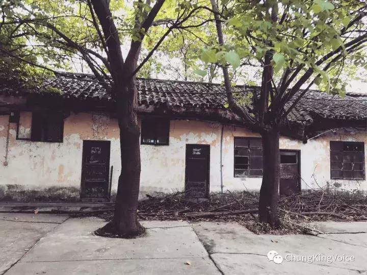 重庆桃花岛和中坝岛,重庆最大中坝岛