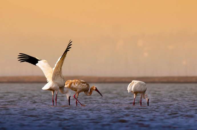 一个真实的故事原创,一个真实的故事有几个版本