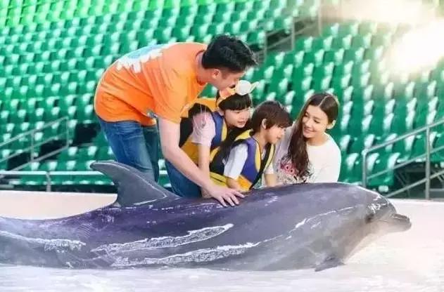 带娃广州长隆旅游攻略,广州珠海长隆攻略亲子游5天