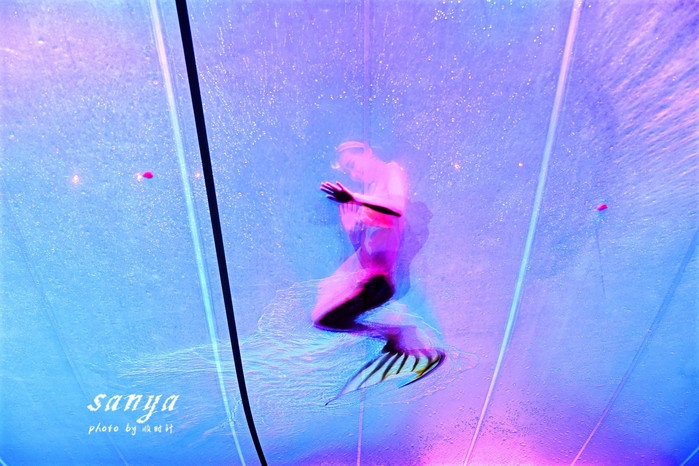 天堂很远中国很近,天堂很远扎西尼玛