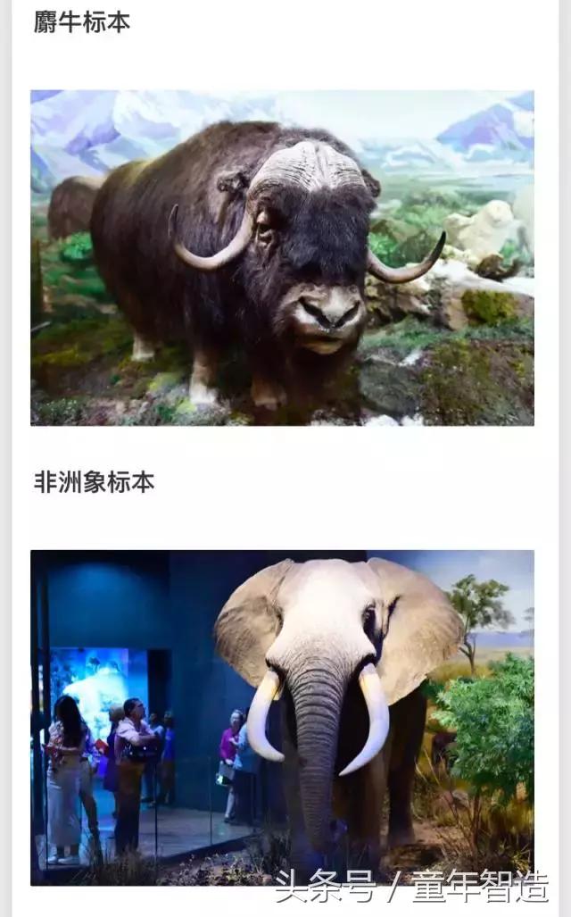 值得带孩子去看的画展,全球最值得看的20个展览