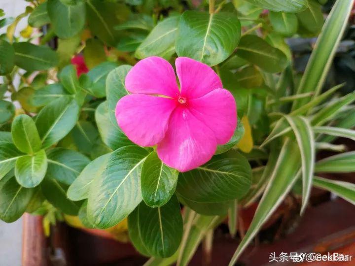 全面屏mix2全陶瓷版,小米mix2黑科技曝光