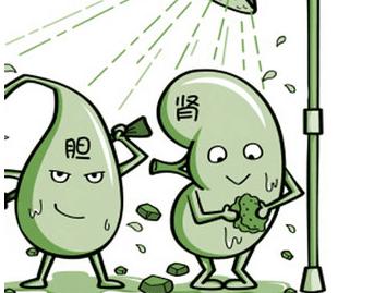 五个痛风就有一个肾结石，该怎么防、怎么治？